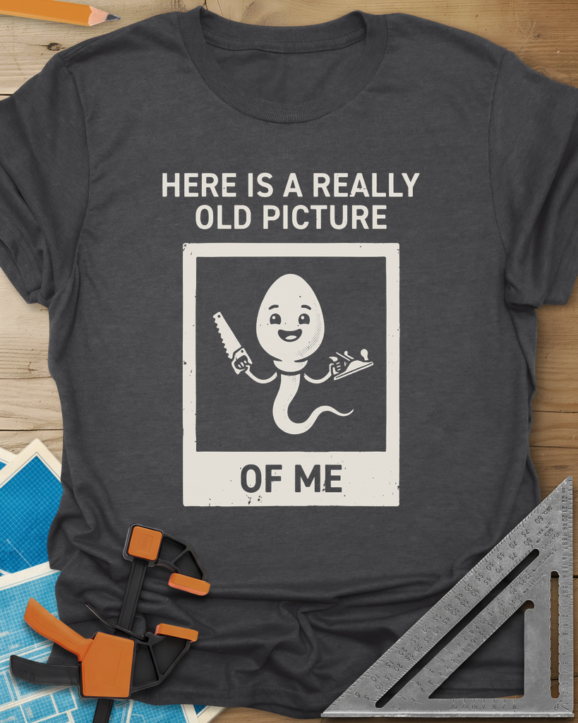 Old Picture Tee — dark_heather_grey