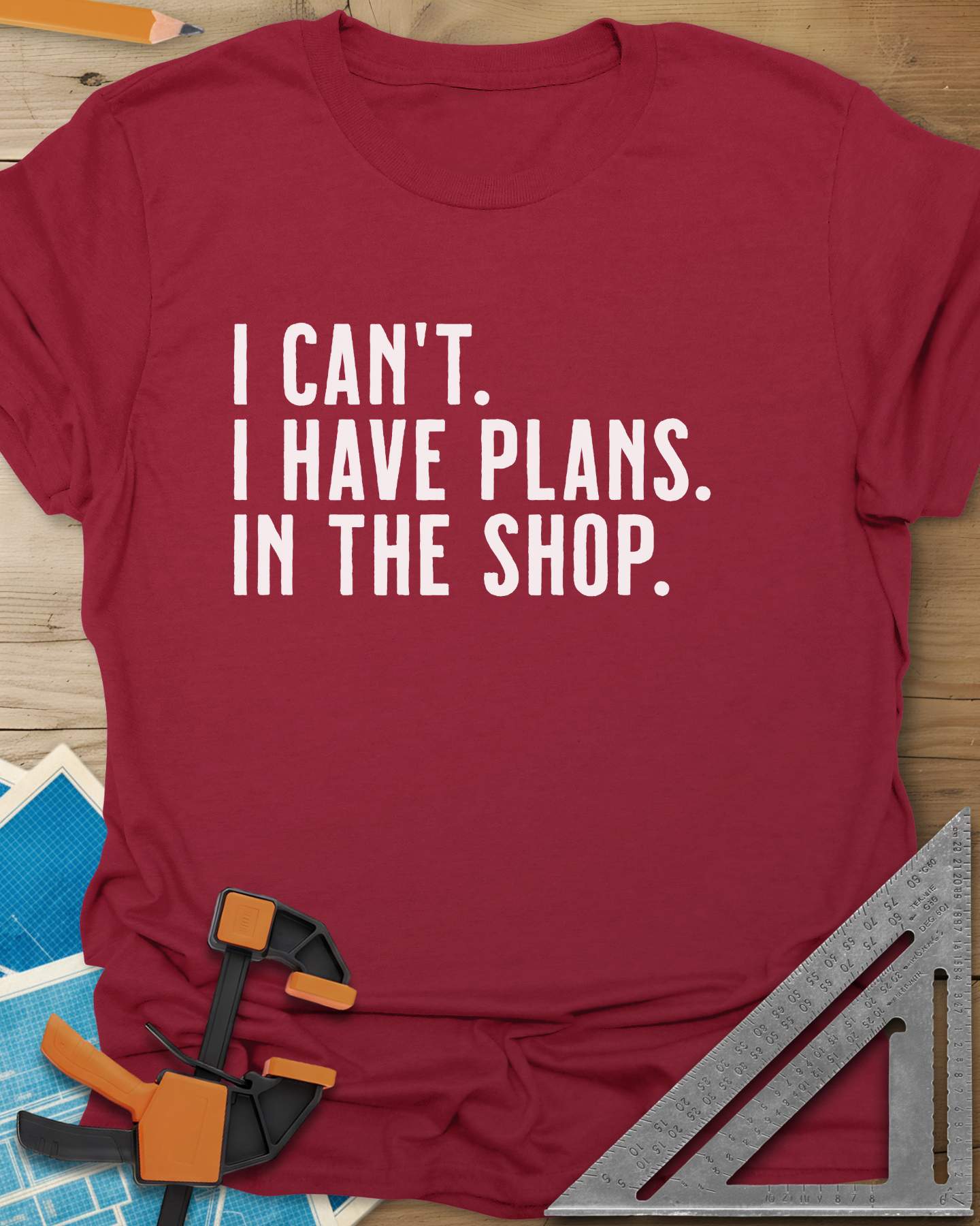 I Have Plans In The Shop